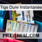 Tige Dure Instantanée 11